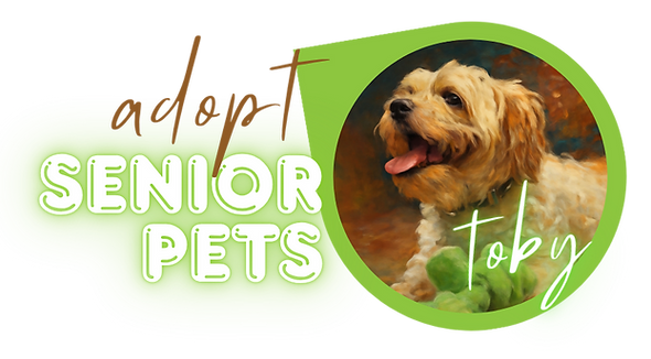 Adopt Senior Pets