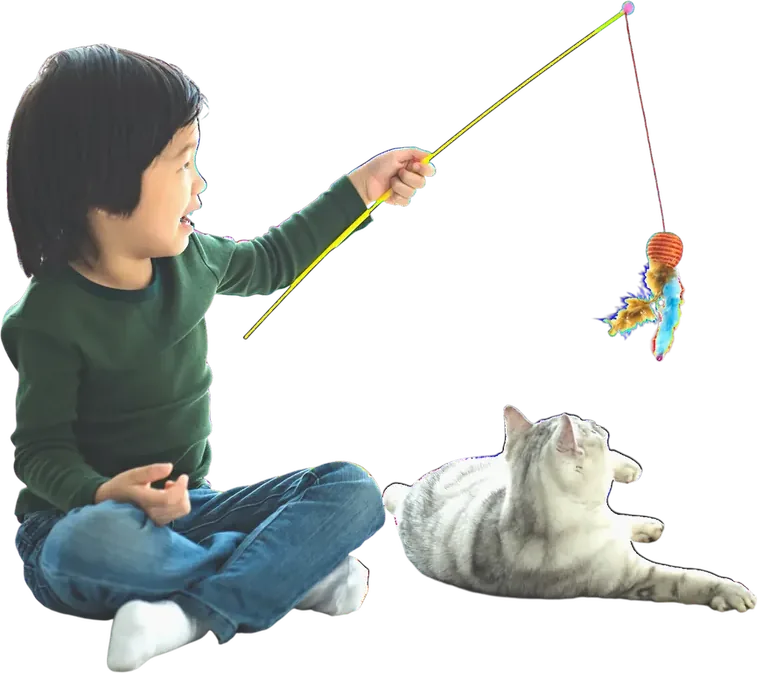 Kid playing with cat