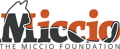 The MICCIO Foundation