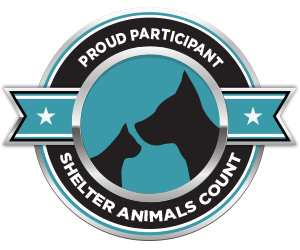 Shelter Animals Count Participant